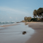 COCOtravel UTMT SriLanka Meer