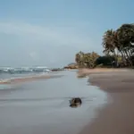 COCOtravel UTMT SriLanka Meer