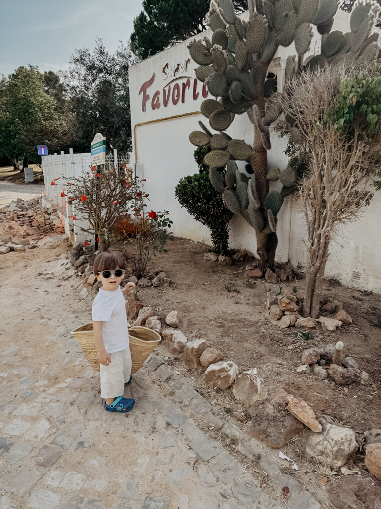 COCOtravel SevenCollections CasaDeSol Carvoeiro Fruehstueck 4 COCOtravel SevenCollections CasaDeSol Carvoeiro Fruehstueck 4