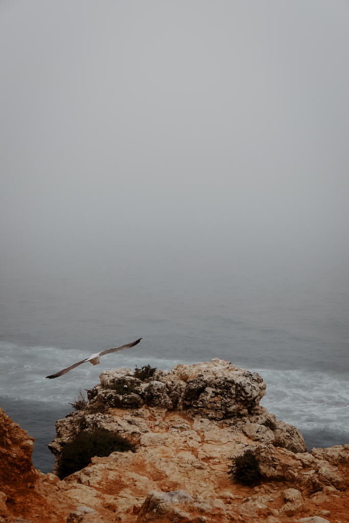 COCOtravel SevenCollections CasaDelSol Ausflug Leuchtturm 16 COCOtravel SevenCollections CasaDelSol Ausflug Leuchtturm 16