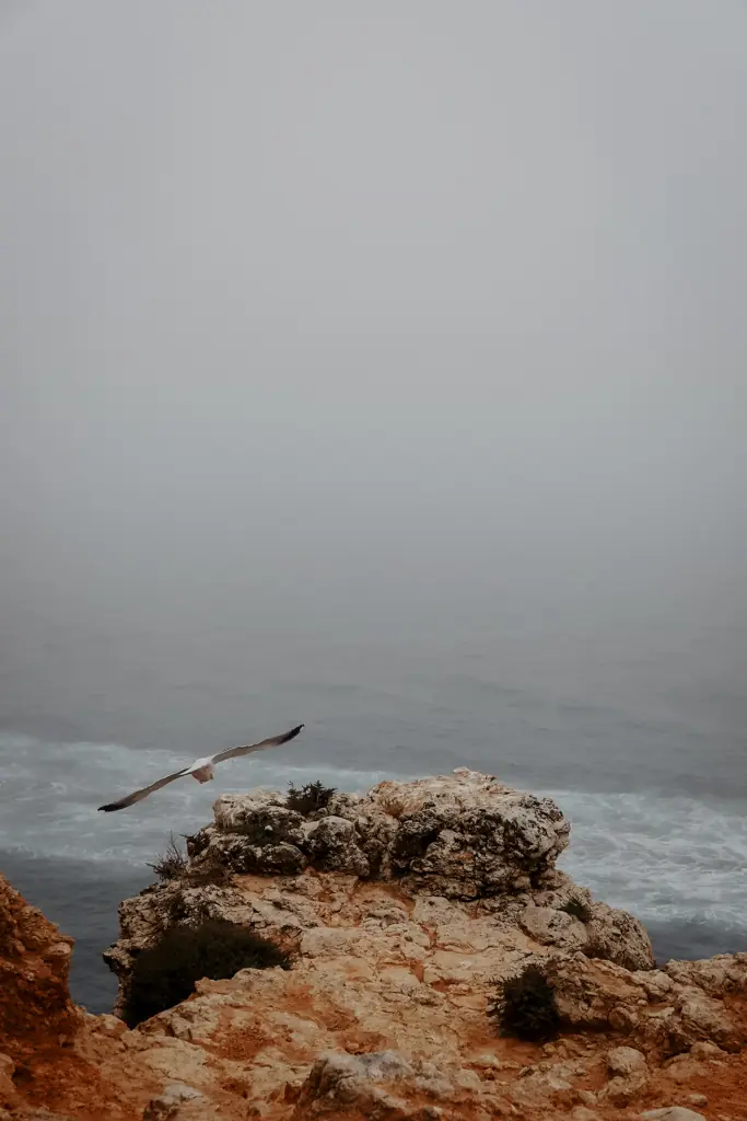 COCOtravel SevenCollections CasaDelSol Ausflug Leuchtturm 16