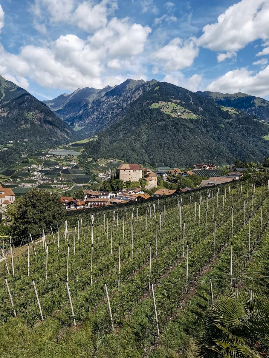 COCOtravel Hohenwart AusblickSpa 2