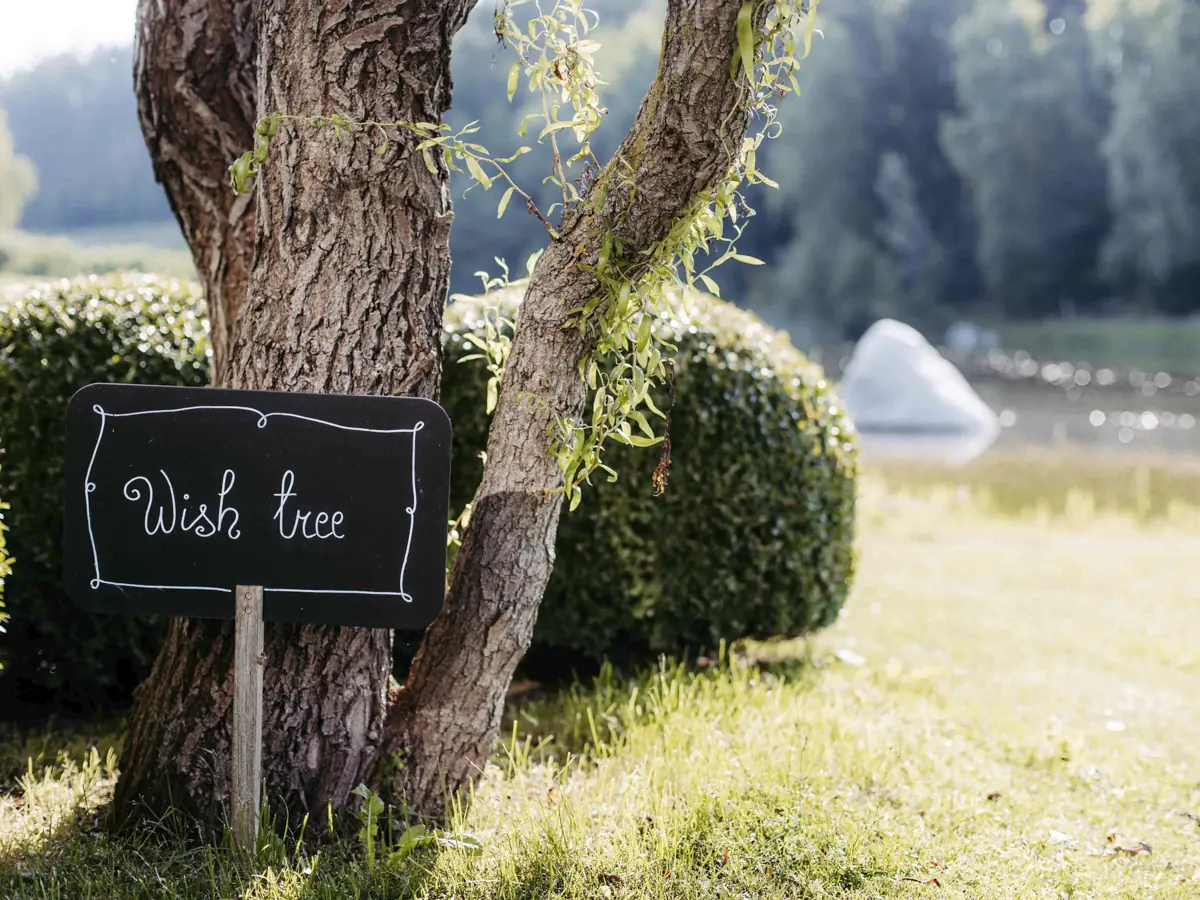 COCOtravel Seehof Wunschbaum 1