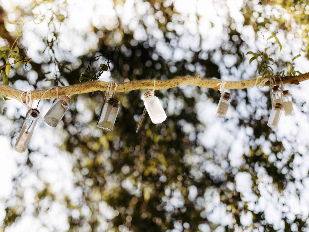 COCOtravel Seehof Wunschbaum 3