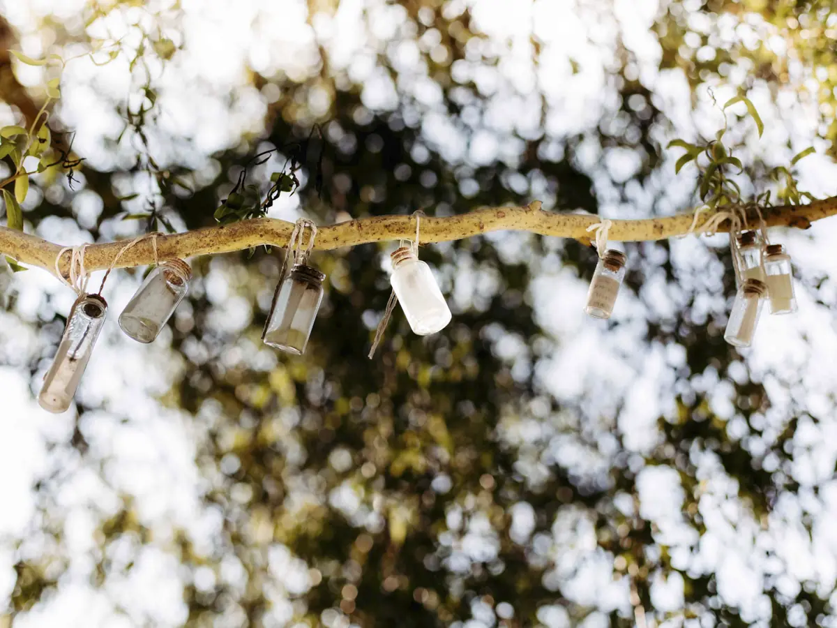 COCOtravel Seehof Wunschbaum 3