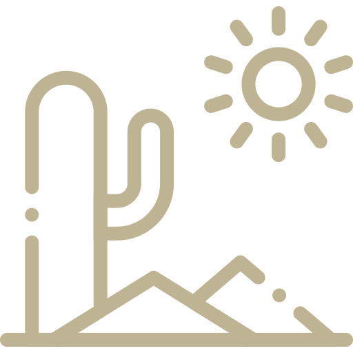 ikons desert