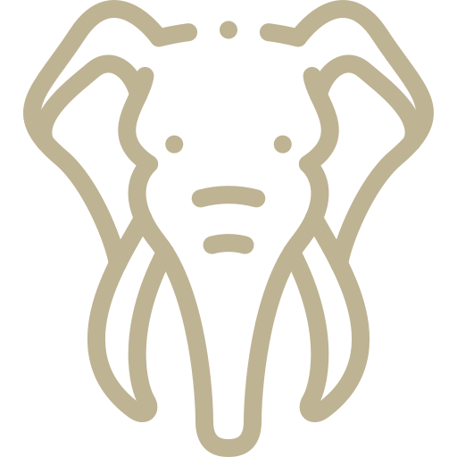 ikons elephant