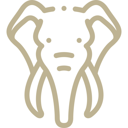 ikons elephant