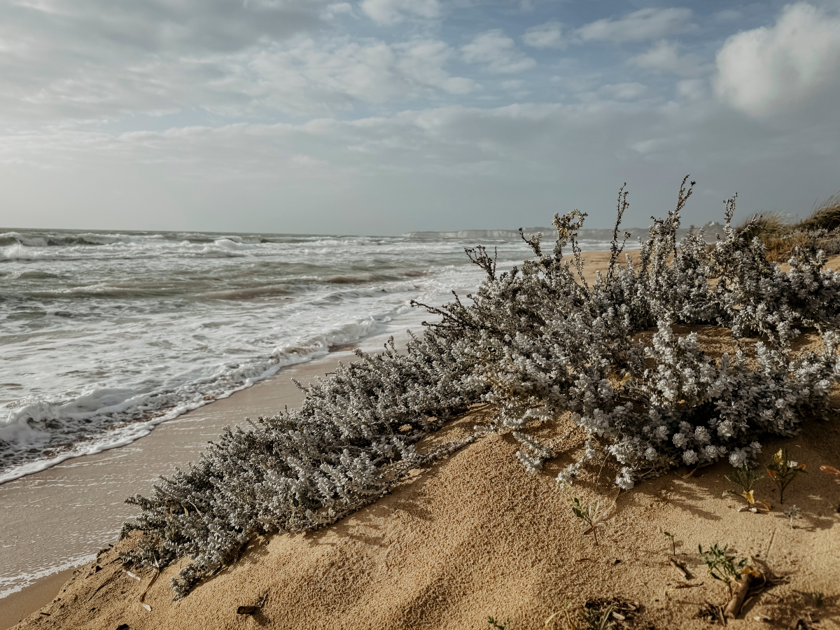 COCOTravel Adler Sizilien Beach COCOTravel Adler Sizilien Beach