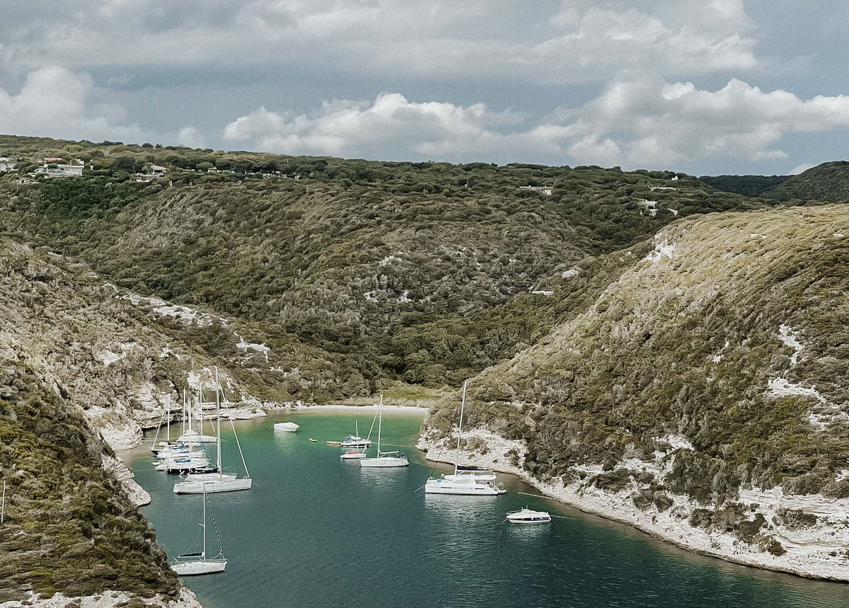 COCO pics Korsika Jeanette3 COCO pics Korsika Jeanette3