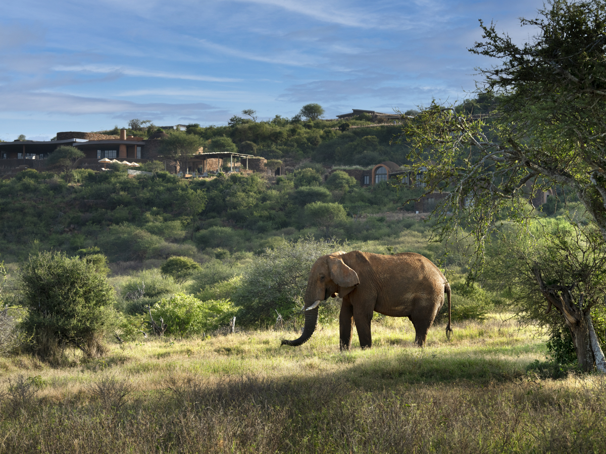 Kenya Suyian Lodge Exterior Elephant View 8 Kopie Kenya Suyian Lodge Exterior Elephant View 8 Kopie