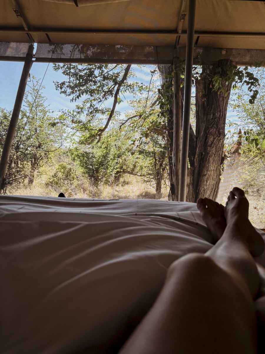 COCOtravel Afrika Wilderness Mokete COCOtravel Afrika Wilderness Mokete