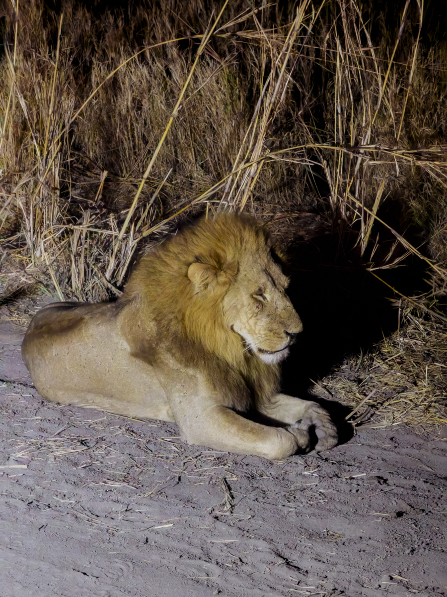 COCOtravel Afrika Wilderness Mokete COCOtravel Afrika Wilderness Mokete