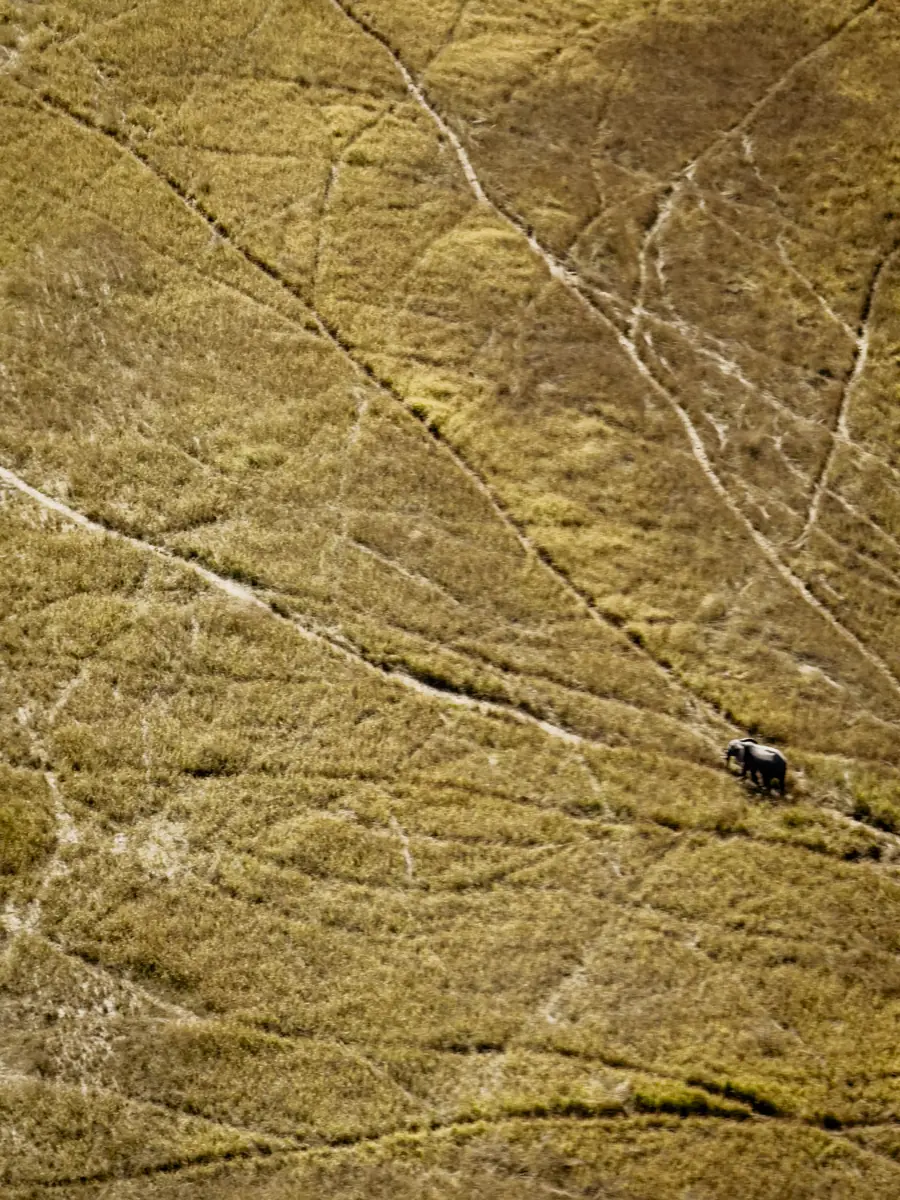 COCOtravel Afrika Wilderness Tubutree