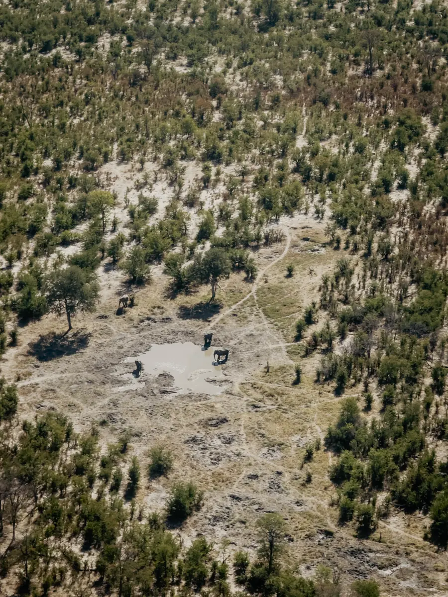 COCOtravel Afrika Wilderness Tubutree
