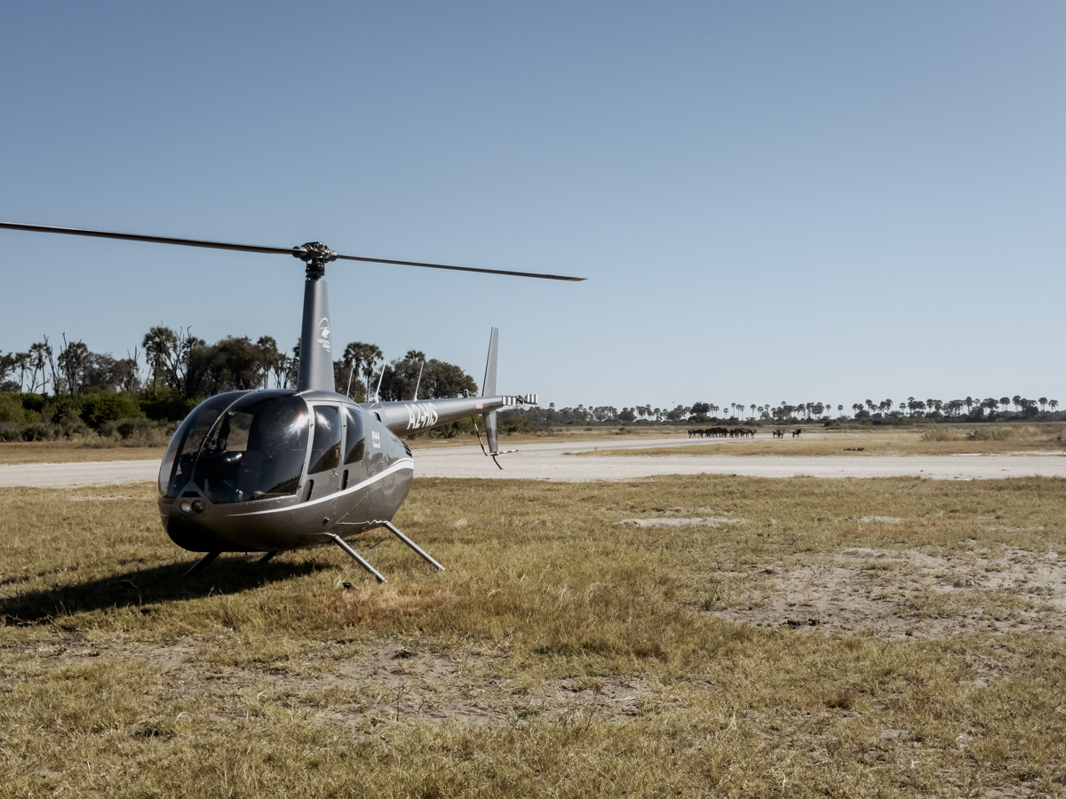 COCOtravel Afrika Wilderness Tubutree COCOtravel Afrika Wilderness Tubutree