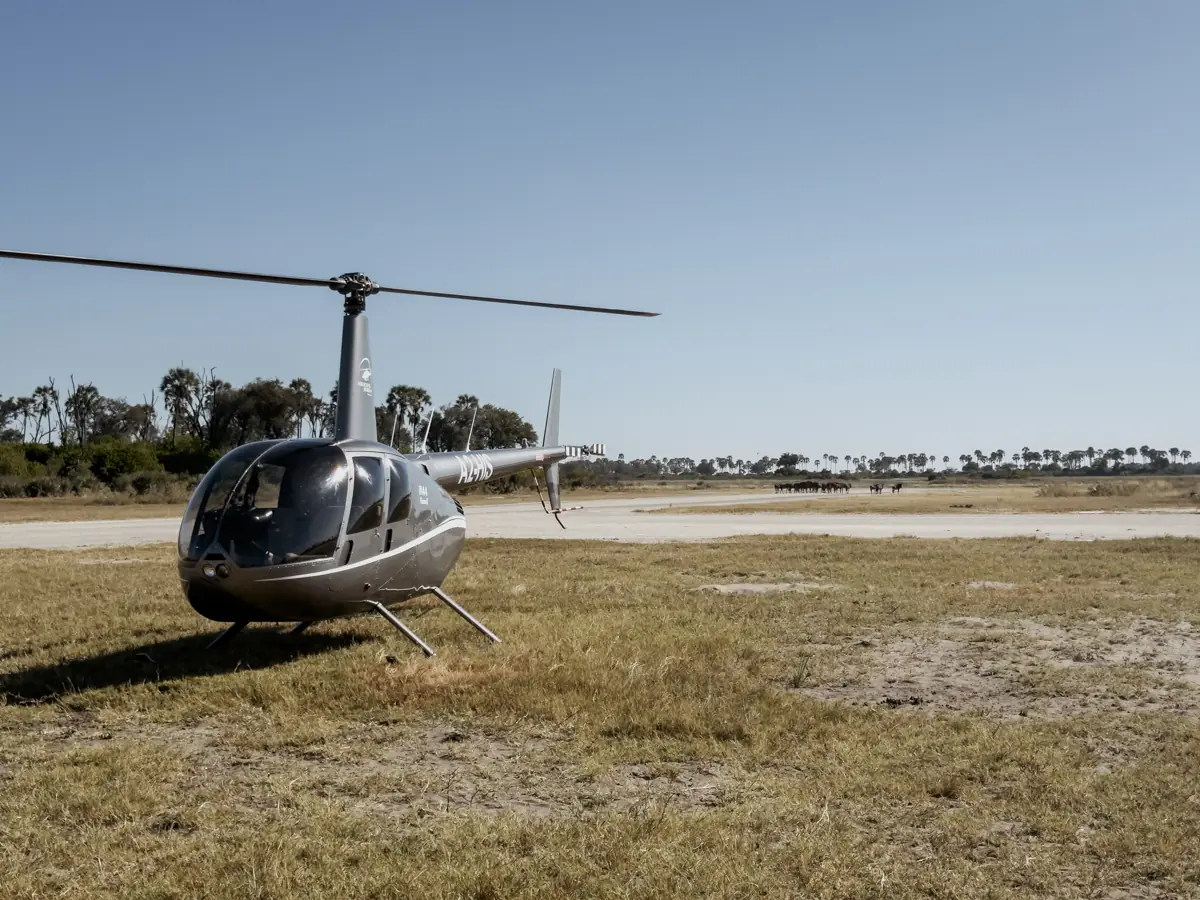 COCOtravel Afrika Wilderness Tubutree