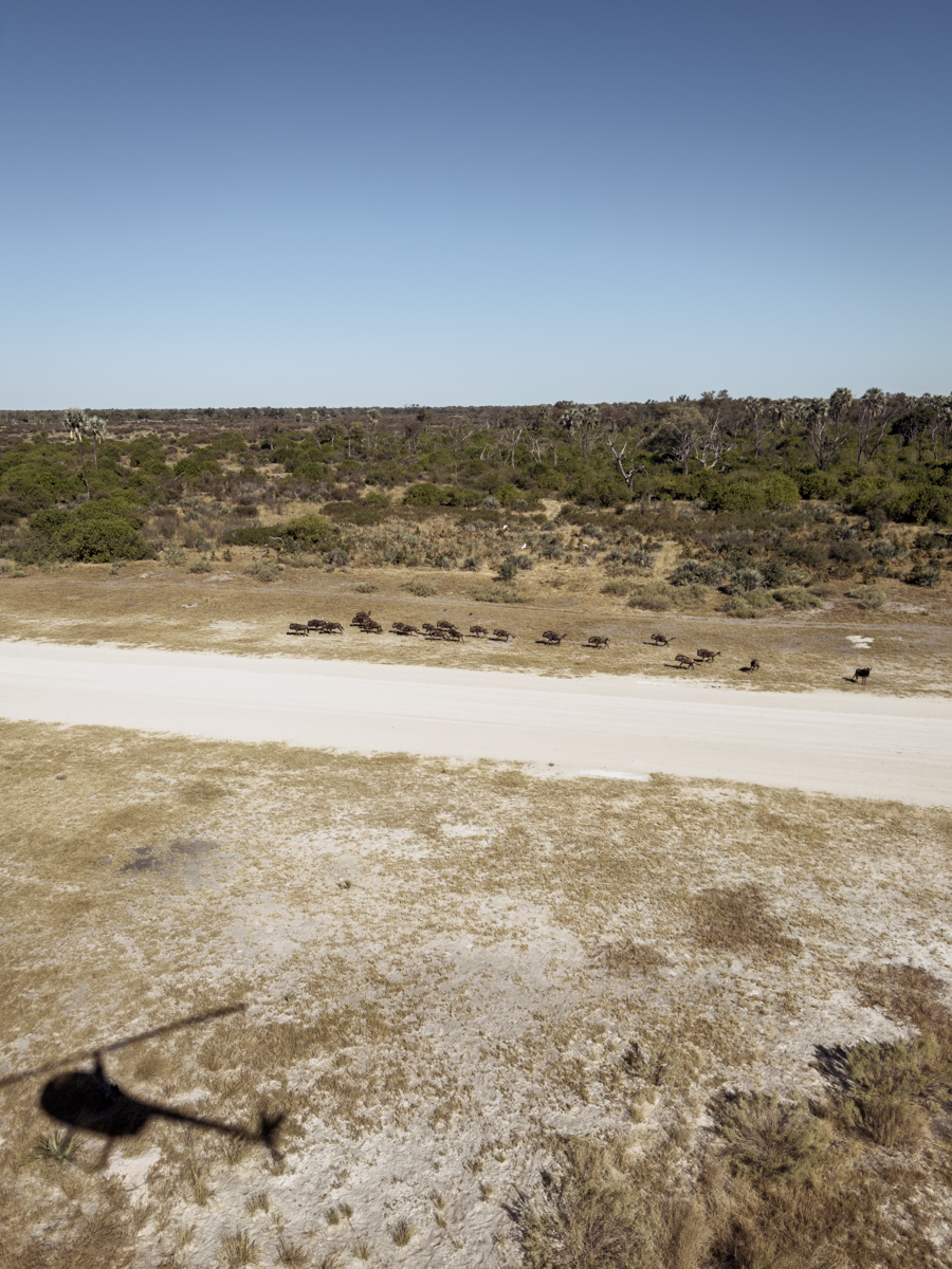 COCOtravel Afrika Wilderness Tubutree COCOtravel Afrika Wilderness Tubutree