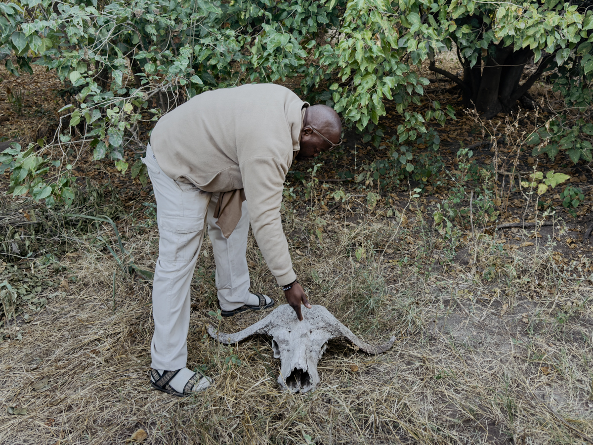 COCOtravel Afrika Wilderness Tubutree COCOtravel Afrika Wilderness Tubutree