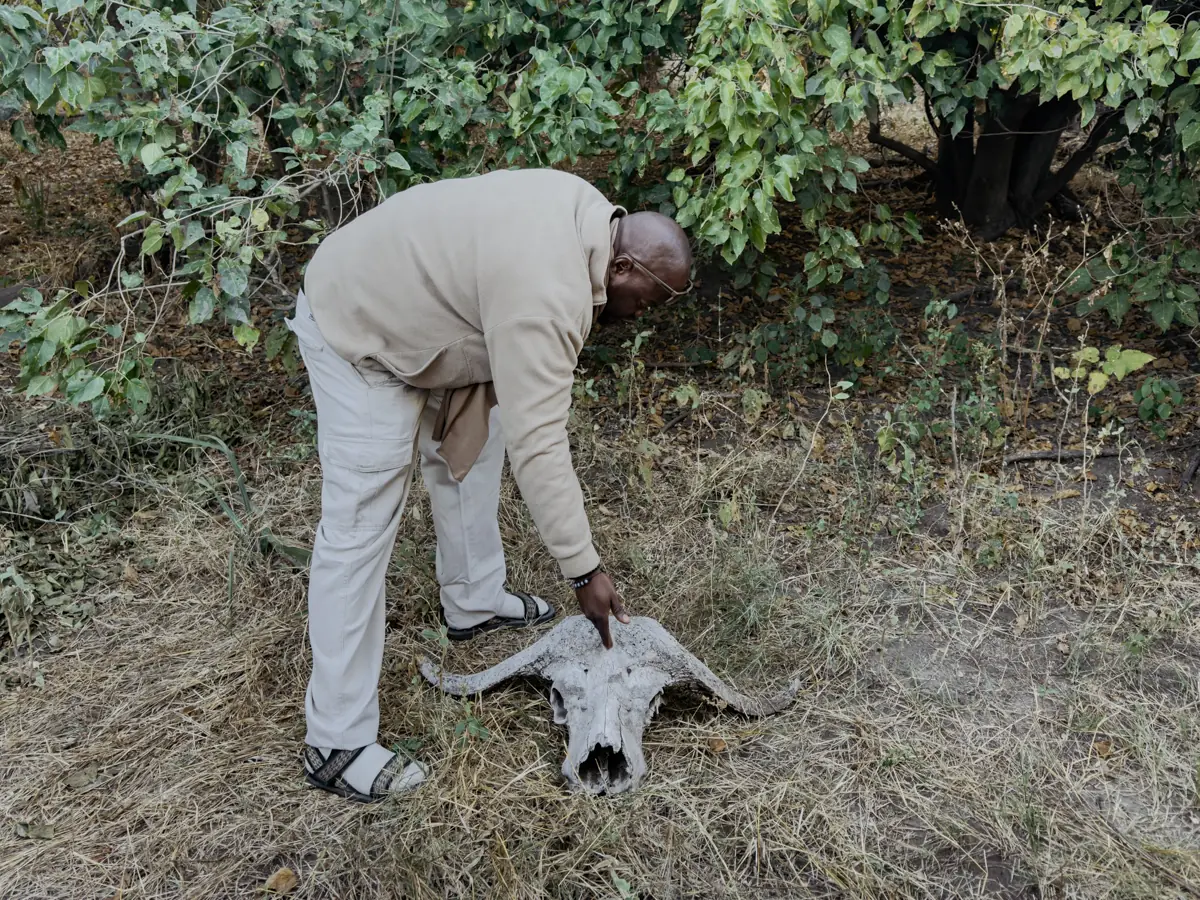 COCOtravel Afrika Wilderness Tubutree