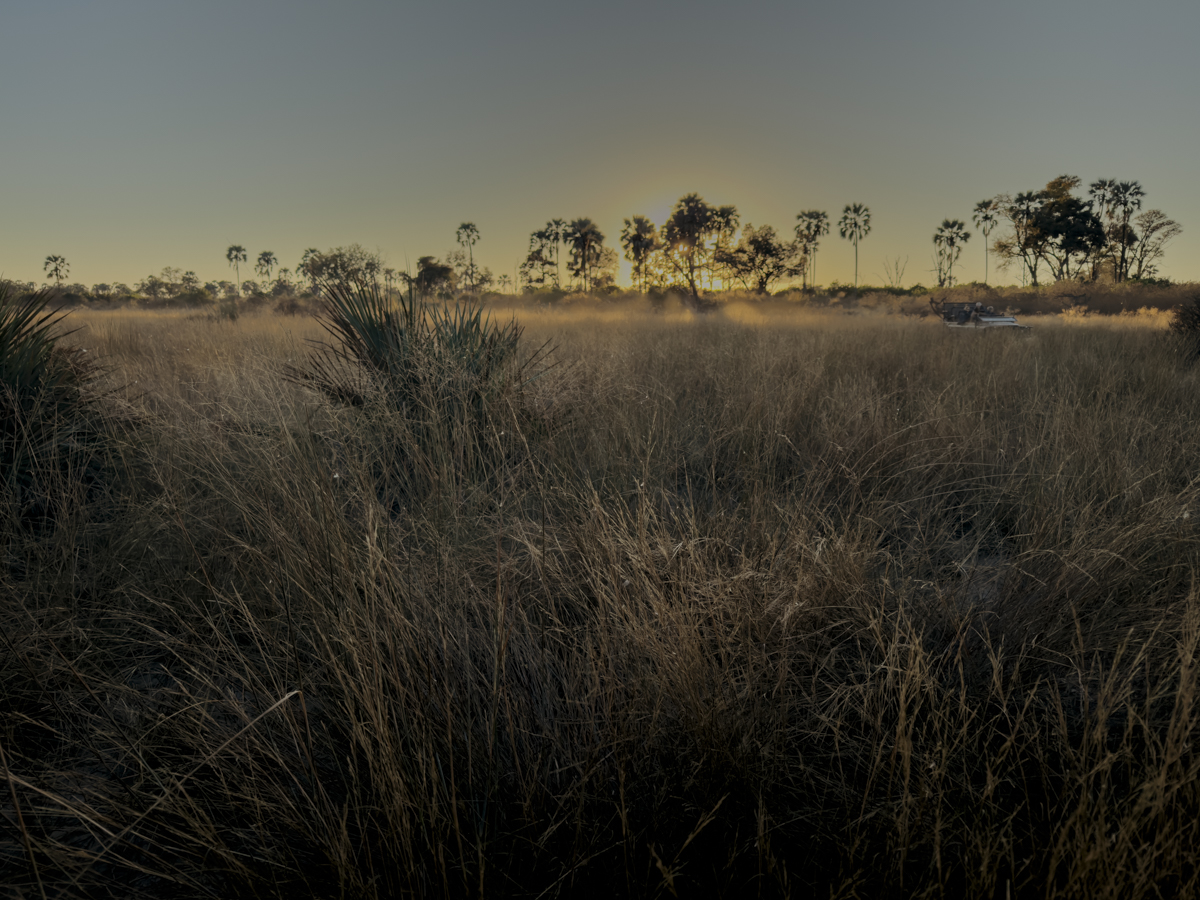 COCOtravel Afrika Wilderness Tubutree COCOtravel Afrika Wilderness Tubutree