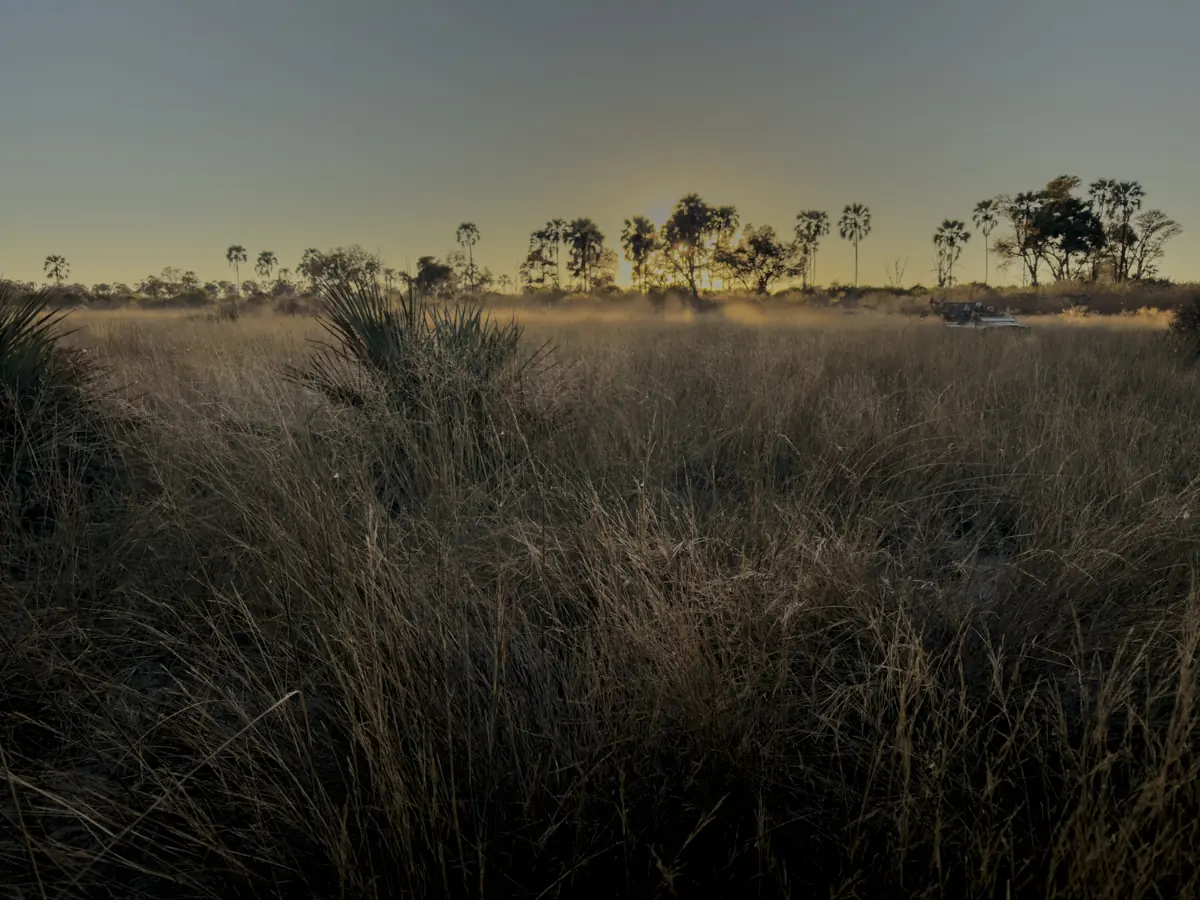 COCOtravel Afrika Wilderness Tubutree