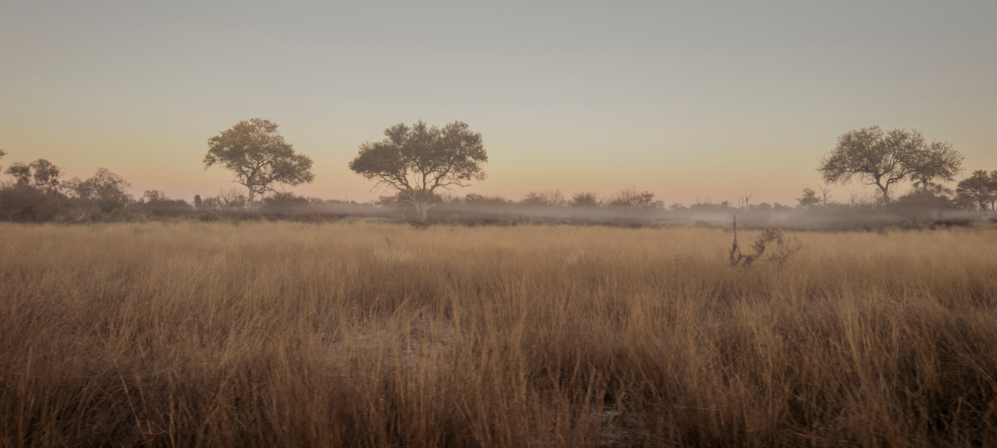 COCOtravel Afrika Botswana Wilderness Tubutree Morgenstimmung 269
