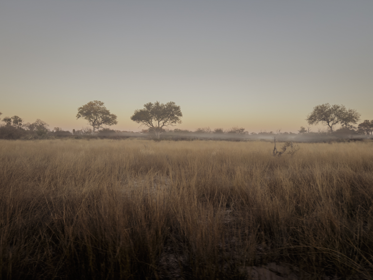 COCOtravel Afrika Wilderness Tubutree COCOtravel Afrika Wilderness Tubutree