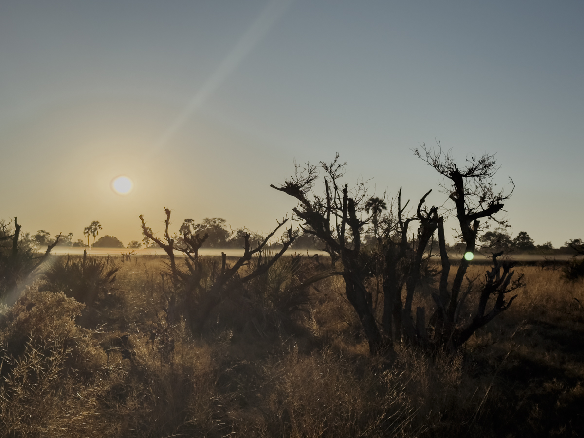 COCOtravel Afrika Wilderness Tubutree COCOtravel Afrika Wilderness Tubutree