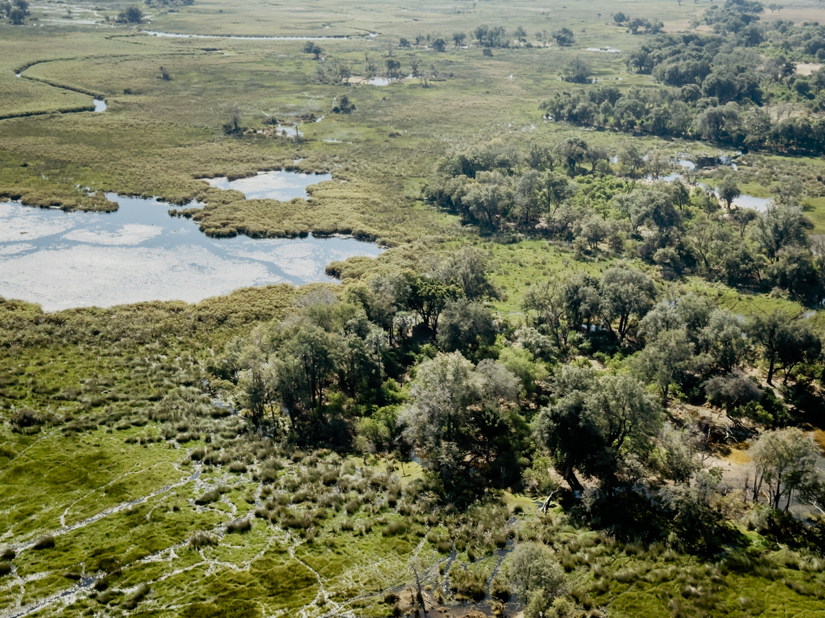 COCOtravel Afrika Wilderness Tubutree COCOtravel Afrika Wilderness Tubutree