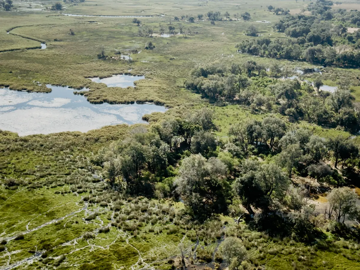 COCOtravel Afrika Wilderness Tubutree