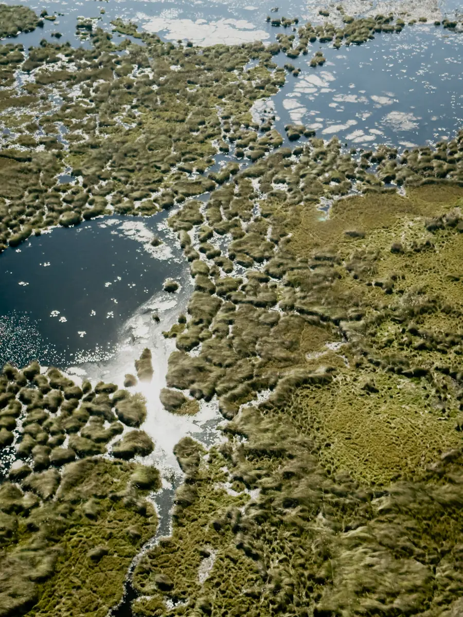 COCOtravel Afrika Wilderness Tubutree