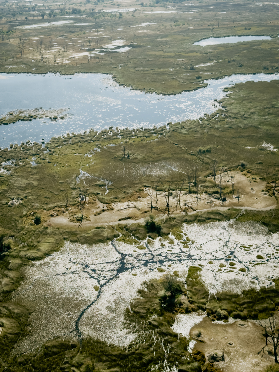 COCOtravel Afrika Wilderness Tubutree COCOtravel Afrika Wilderness Tubutree