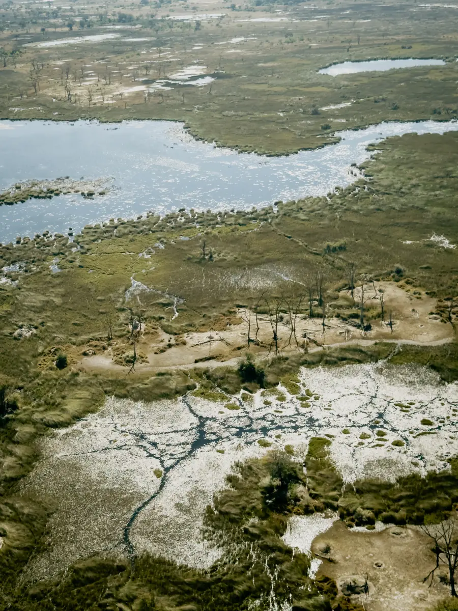 COCOtravel Afrika Wilderness Tubutree