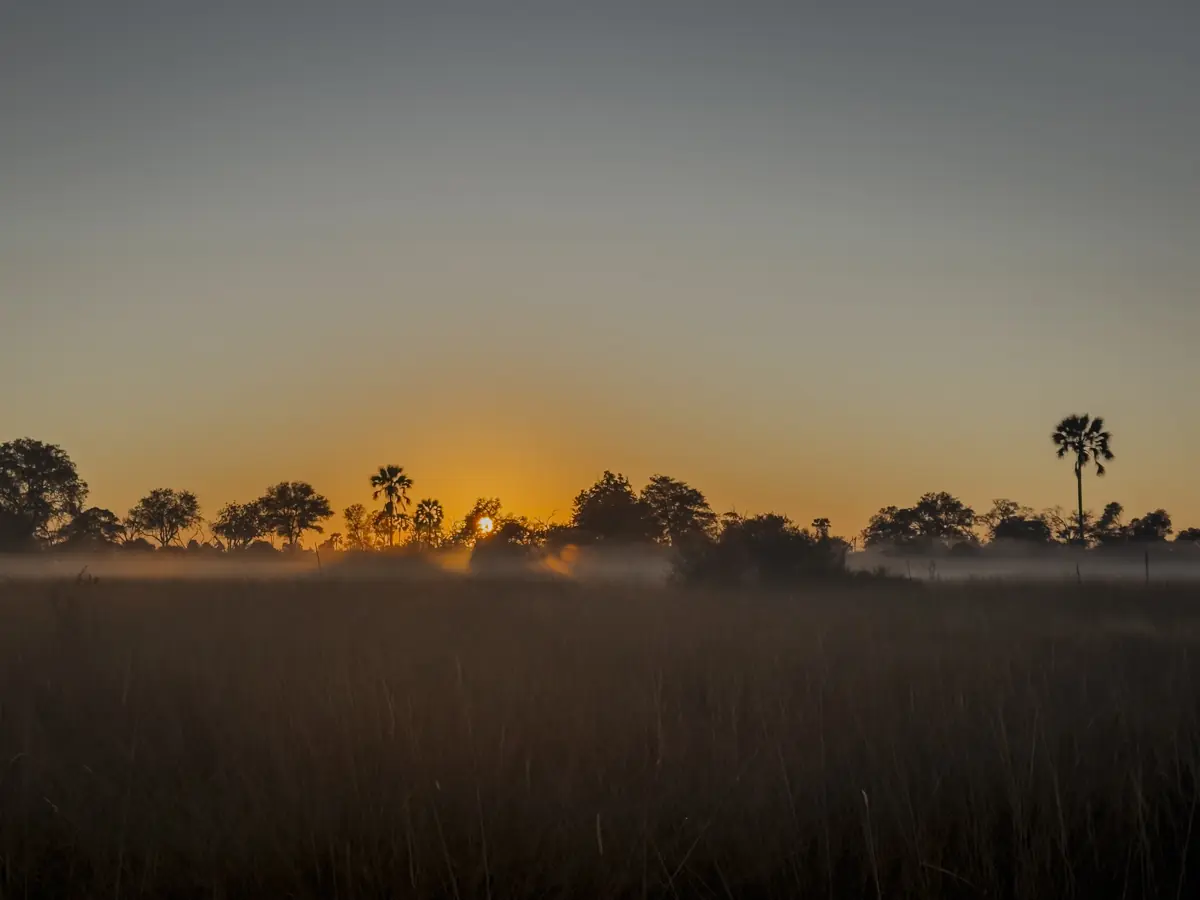 COCOtravel Afrika Wilderness Tubutree