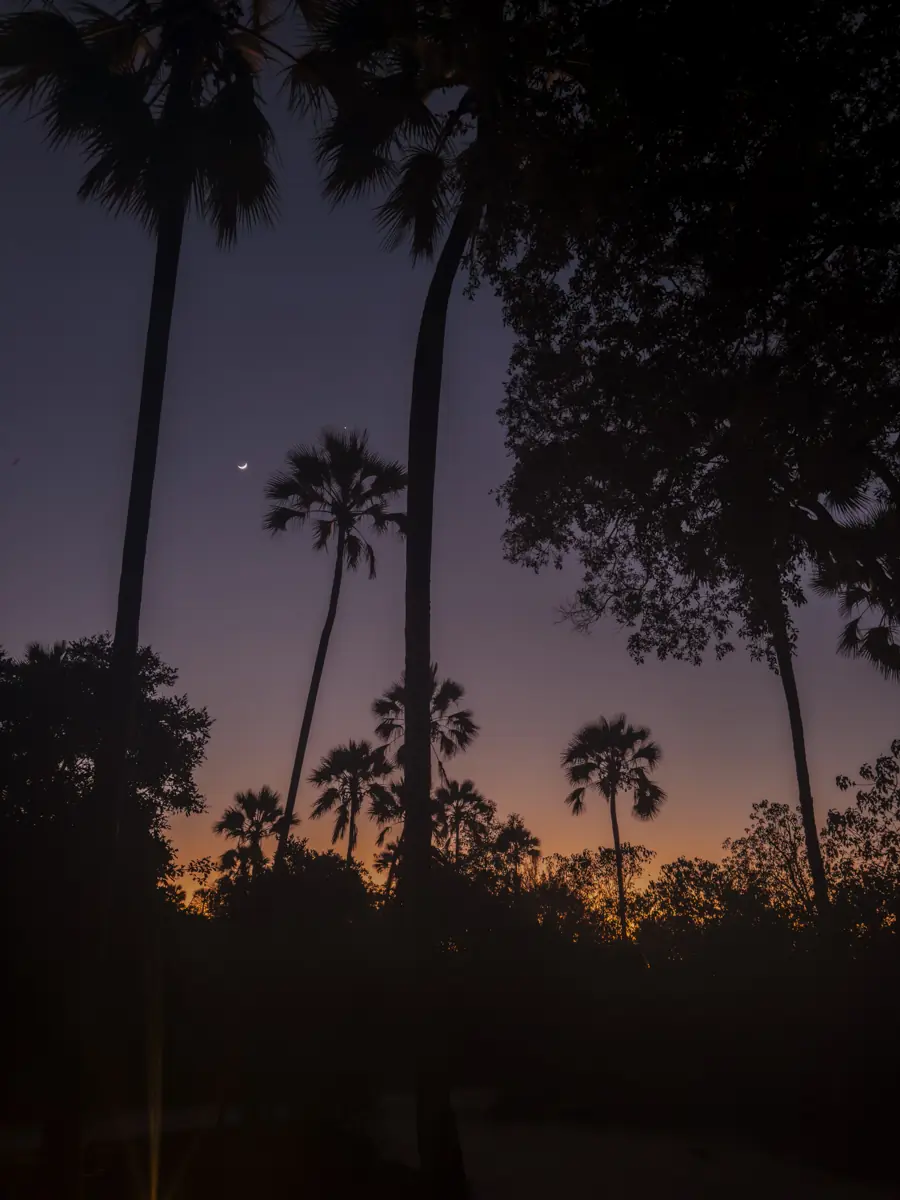 COCOtravel Afrika Wilderness Tubutree