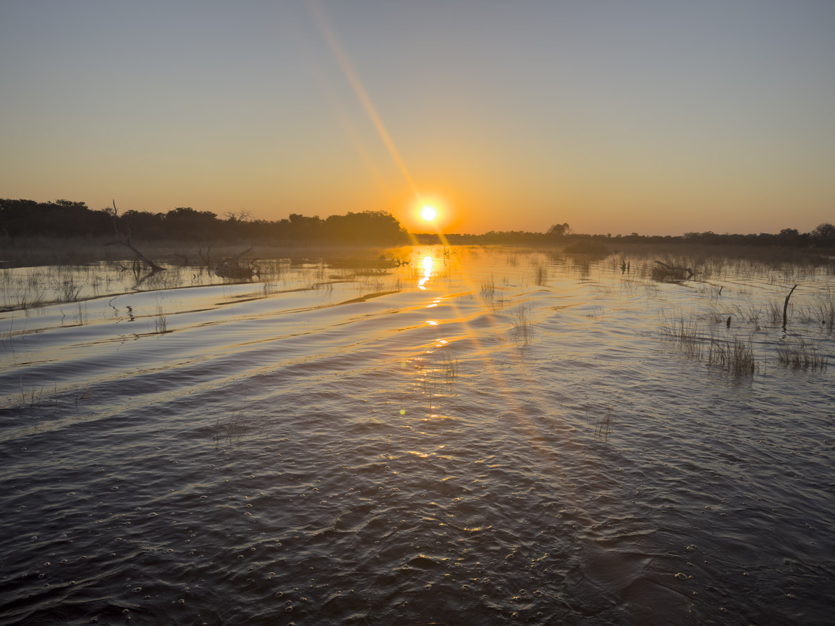COCOtravel Afrika Botswana Wilderness VumburaPlainsNorth COCOtravel Afrika Botswana Wilderness VumburaPlainsNorth