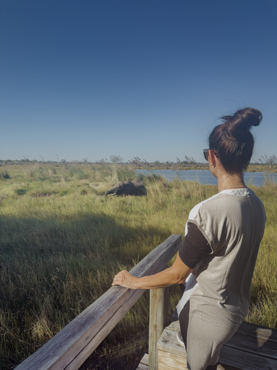 COCOtravel Afrika Botswana Wilderness VumburaPlainsNorth COCOtravel Afrika Botswana Wilderness VumburaPlainsNorth