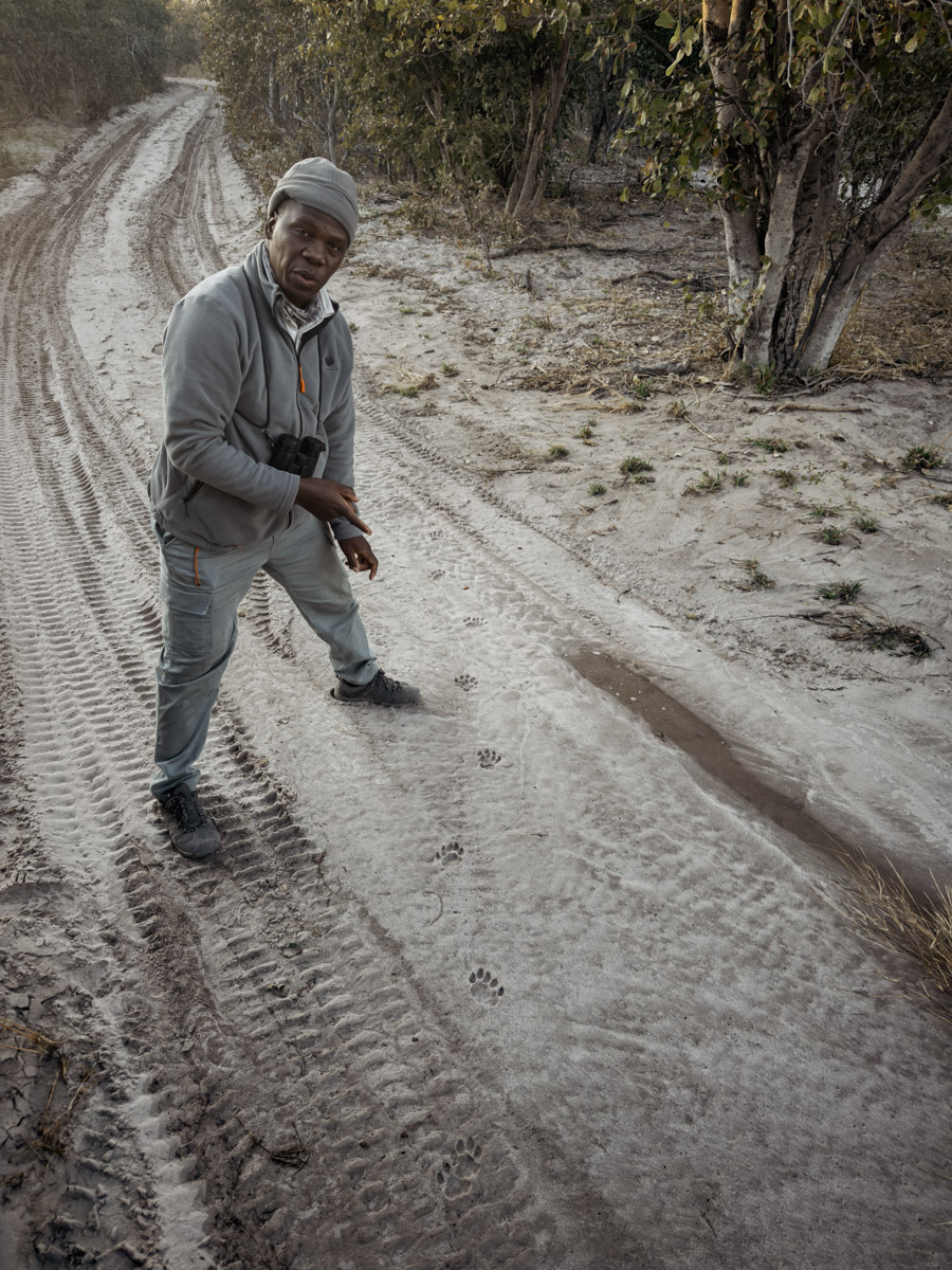 COCOtravel Afrika Botswana Wilderness VumburaPlainsNorth COCOtravel Afrika Botswana Wilderness VumburaPlainsNorth