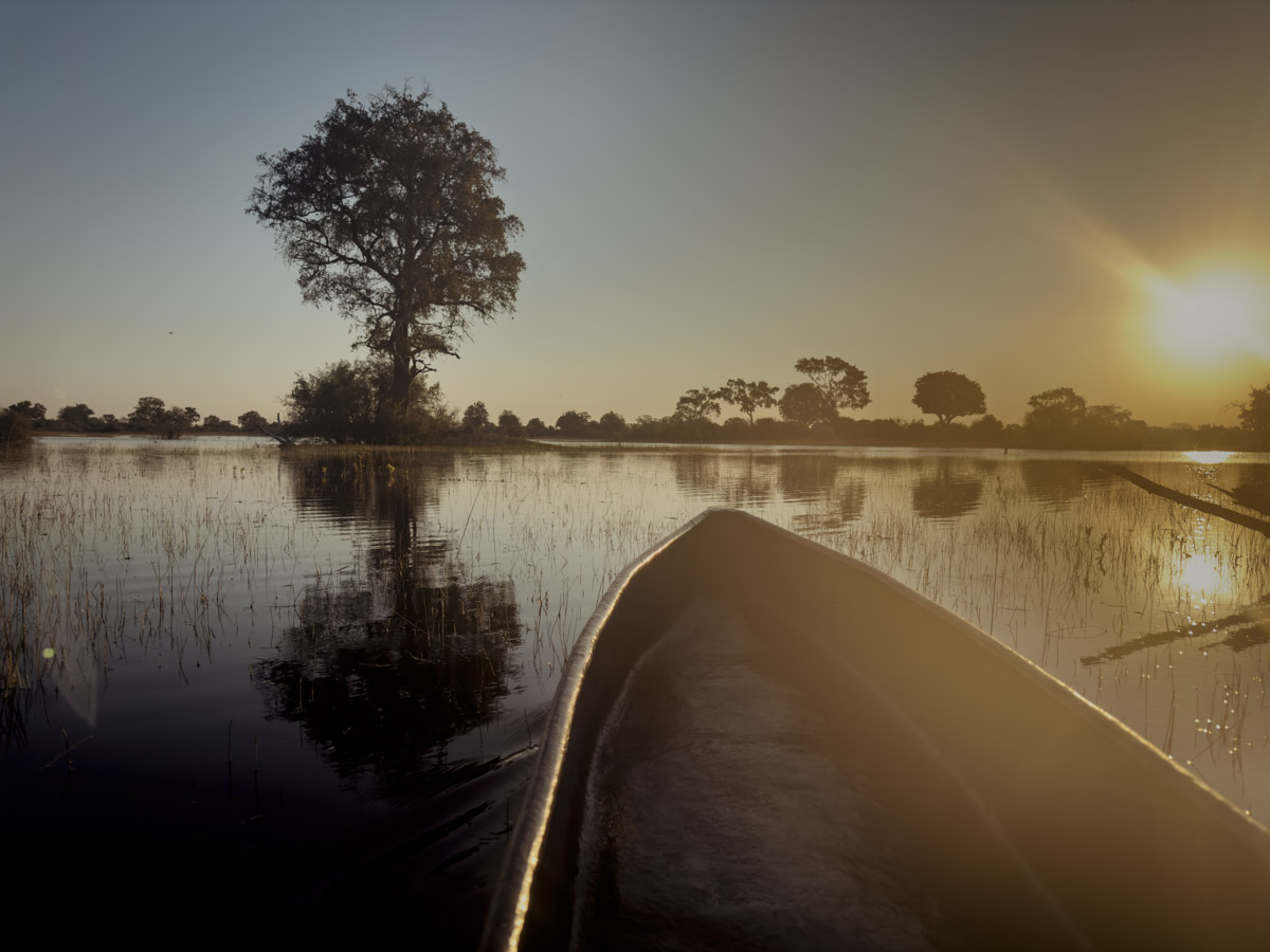 COCOtravel Afrika Botswana Wilderness VumburaPlainsNorth COCOtravel Afrika Botswana Wilderness VumburaPlainsNorth