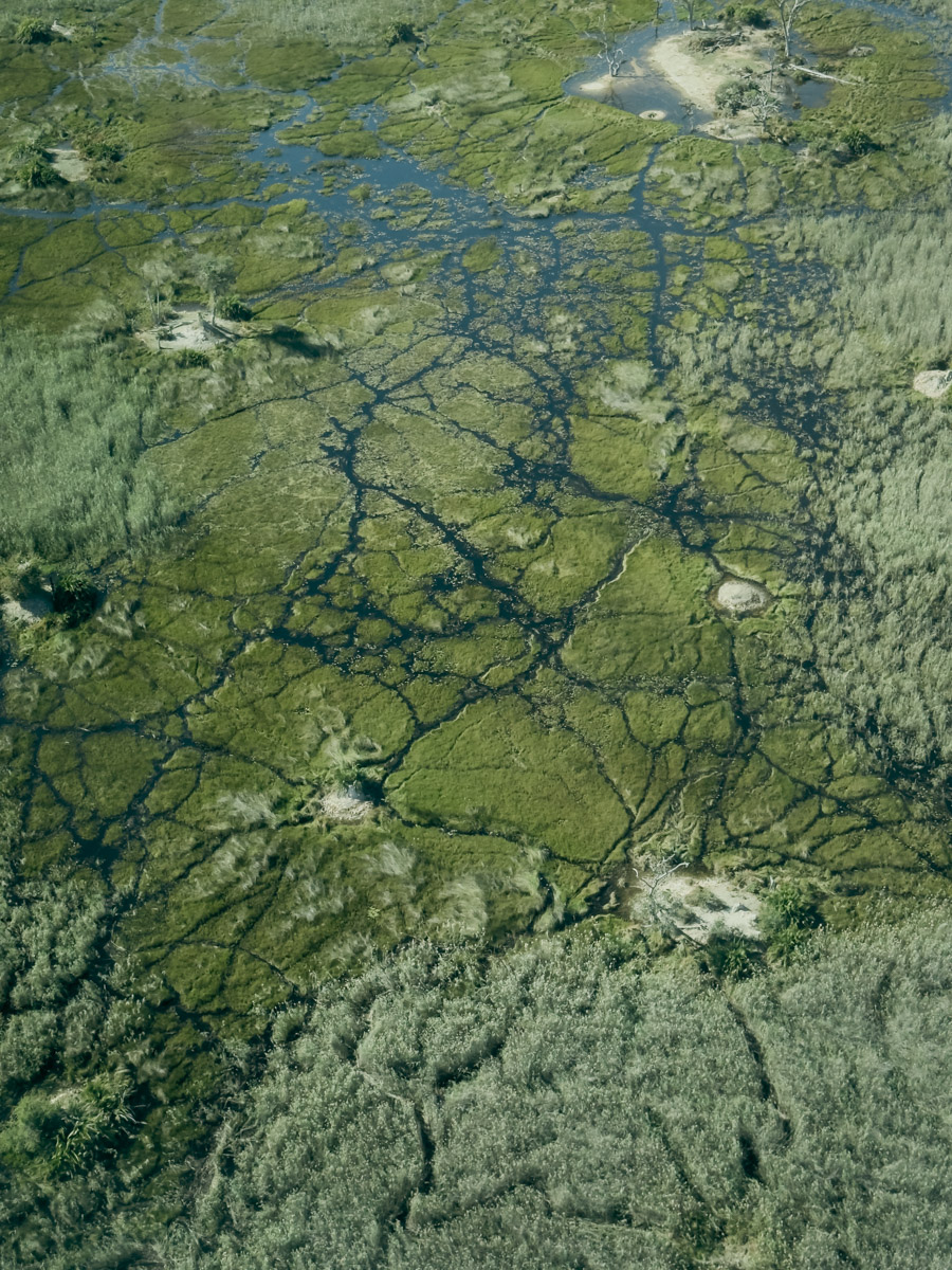 COCOtravel Afrika Botswana Wilderness VumburaPlainsNorth COCOtravel Afrika Botswana Wilderness VumburaPlainsNorth