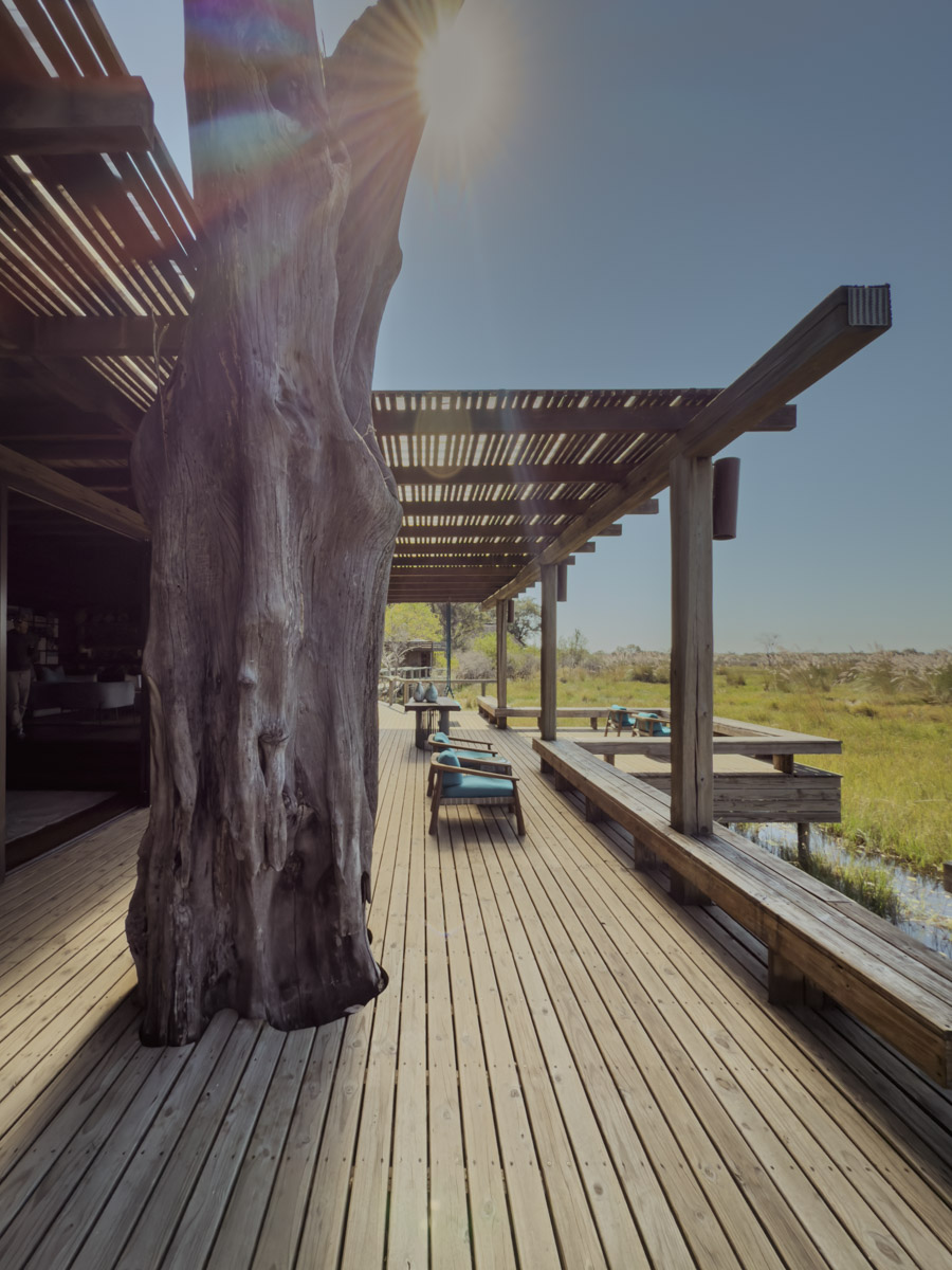 COCOtravel Afrika Botswana Wilderness VumburaPlainsNorth COCOtravel Afrika Botswana Wilderness VumburaPlainsNorth