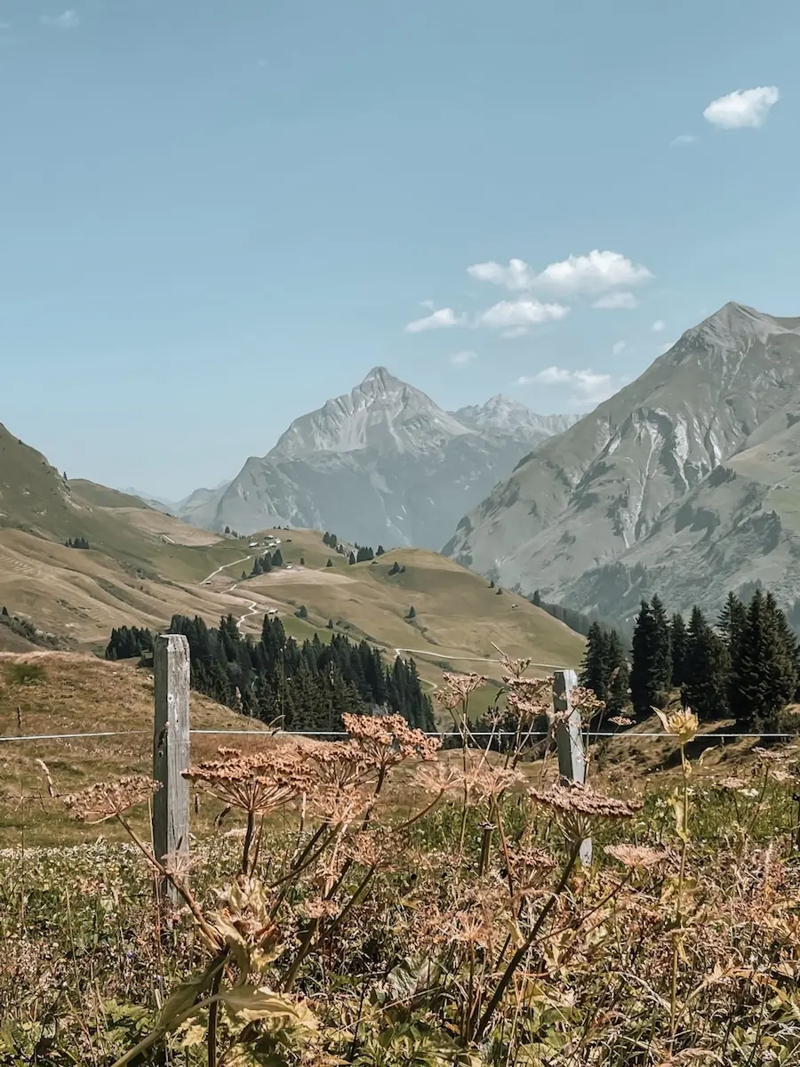 COCOtravel LechArlberg GoldenerBerg umgebung3