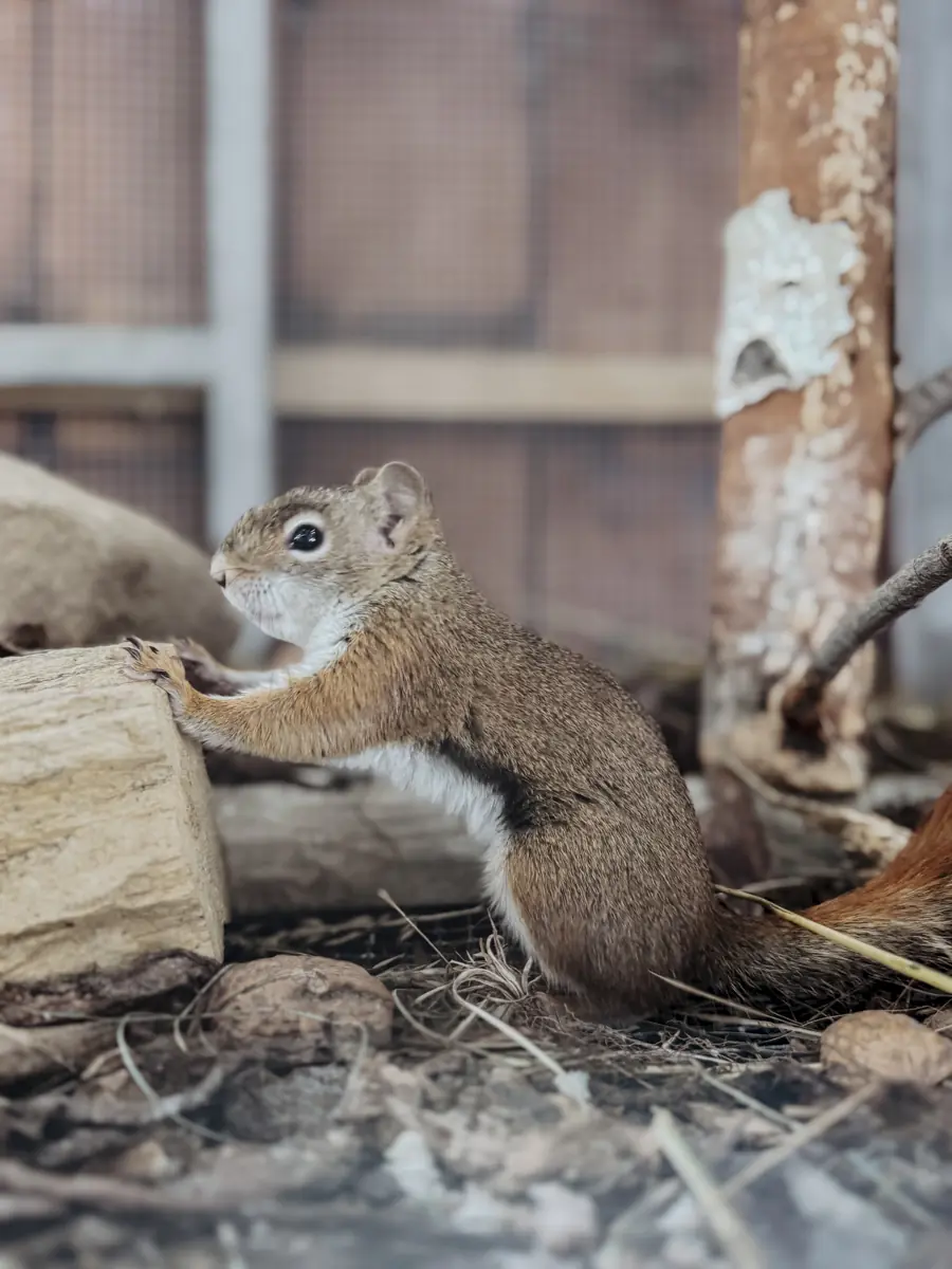 COCOtravel Suedtirol Alpiana