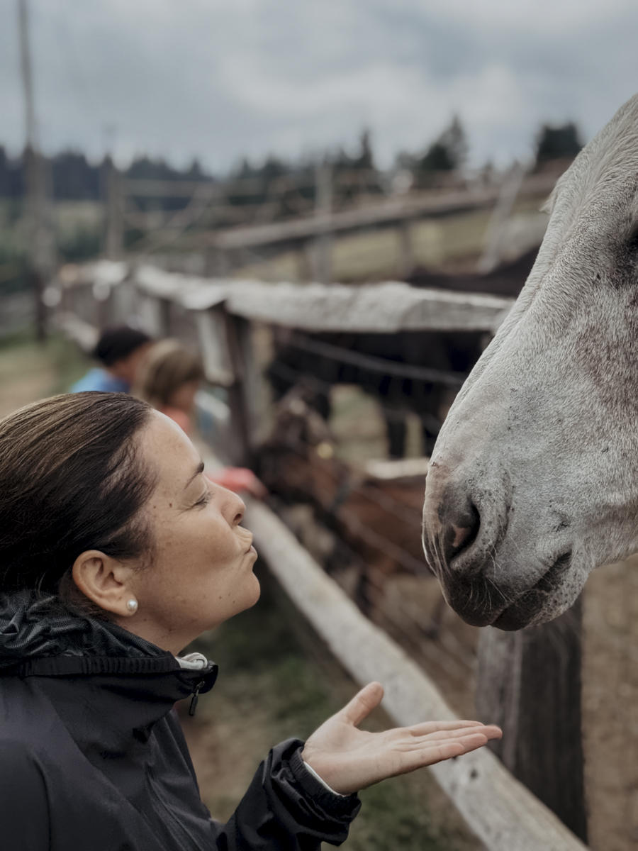 COCOtravel Suedtirol Alpiana
