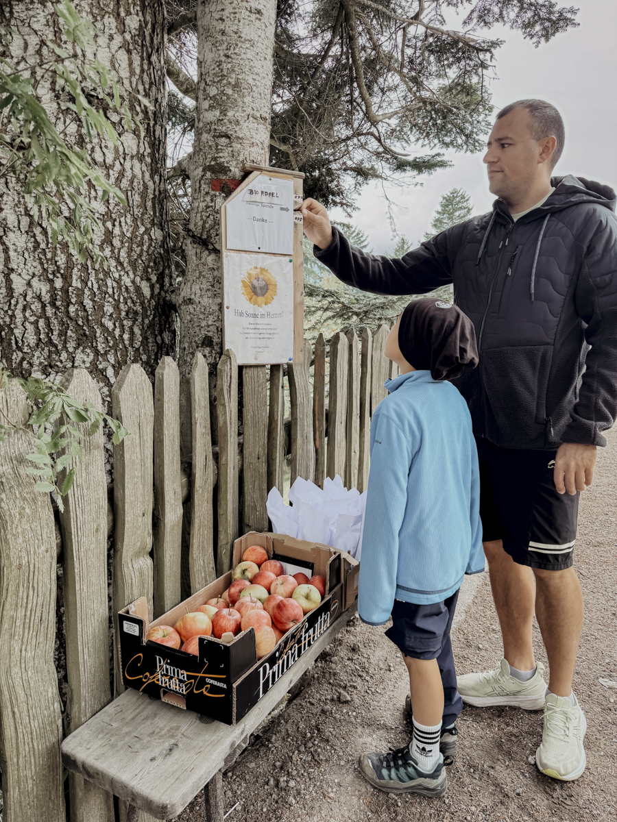 COCOtravel Suedtirol Alpiana