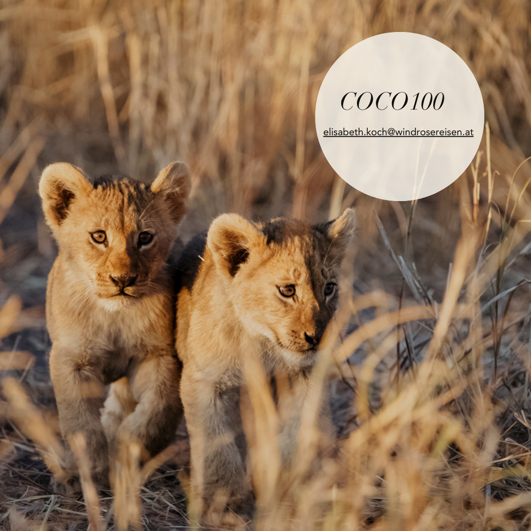 COCOtravel Wilderness Lodges Deal