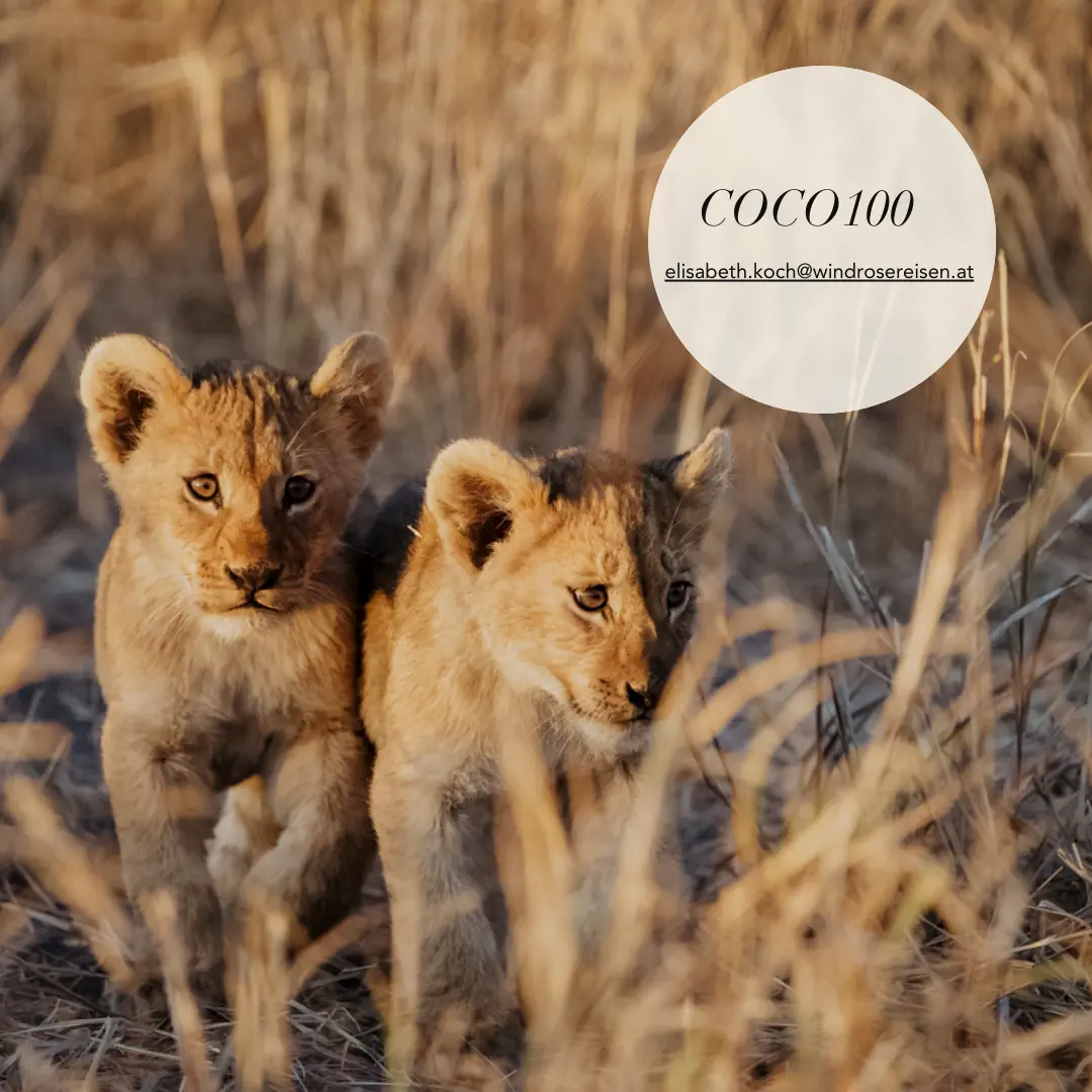 COCOtravel Wilderness Lodges Deal