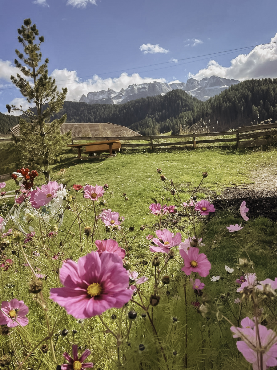 COCOtravel Granbaita Blumen