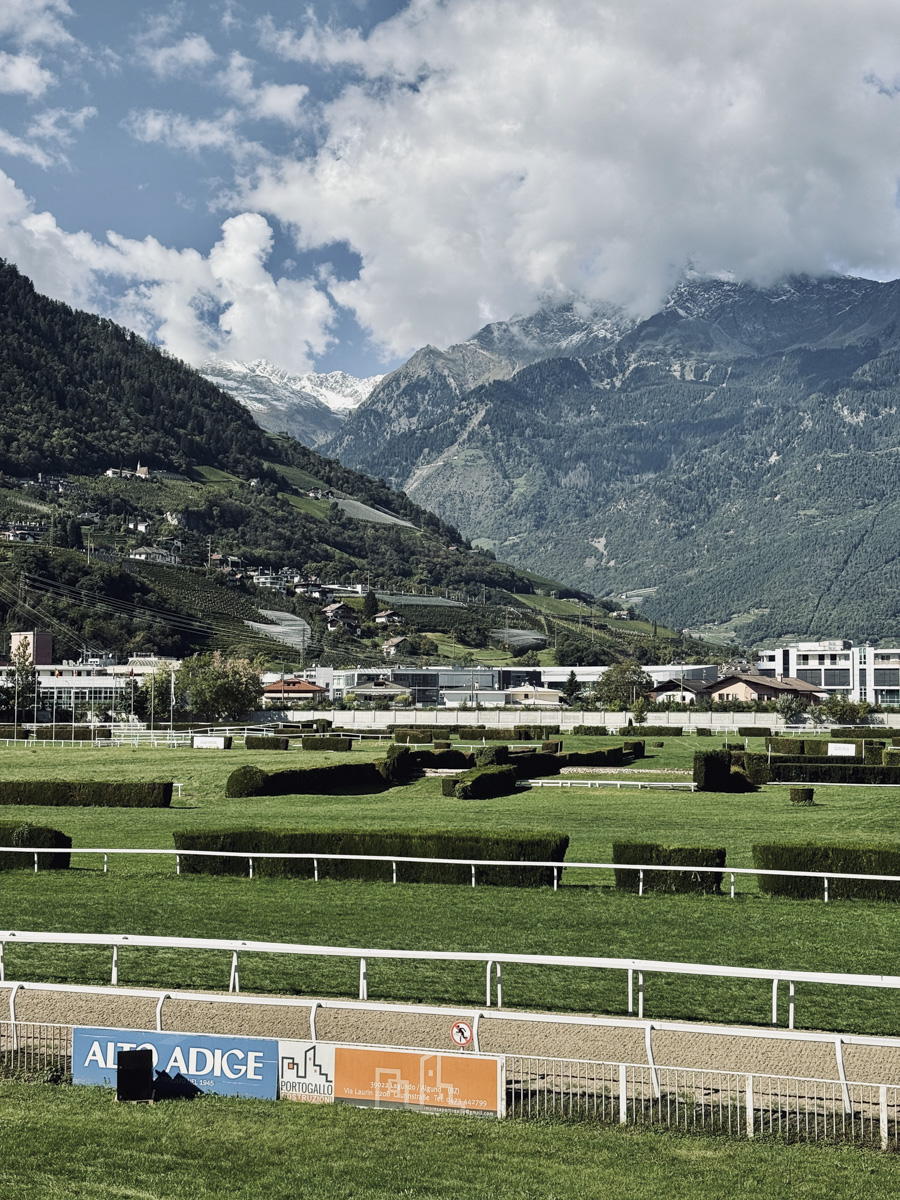 COCOtravel MignonMeran Pferderennen COCOtravel MignonMeran Pferderennen